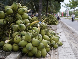 Coconuts and Ben Tre grapefruits are trademarked in Canada.